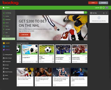 bodog bonus code free money